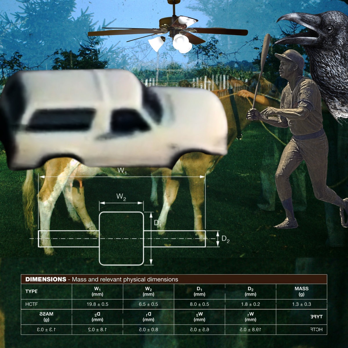 Gnawing At The Bars Of My Enclosure For This Alt-Country